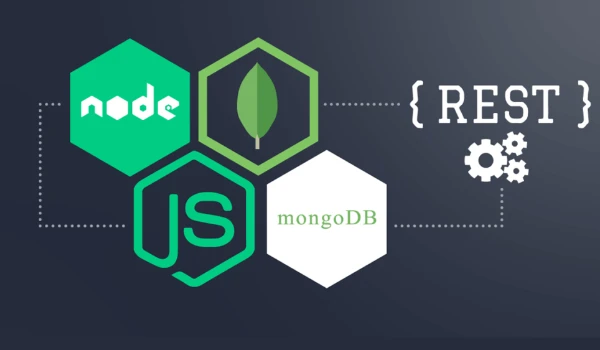 Web Development REST APIs & MongoDB Integration